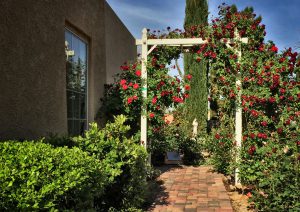 Grace Memorial Rose Garden